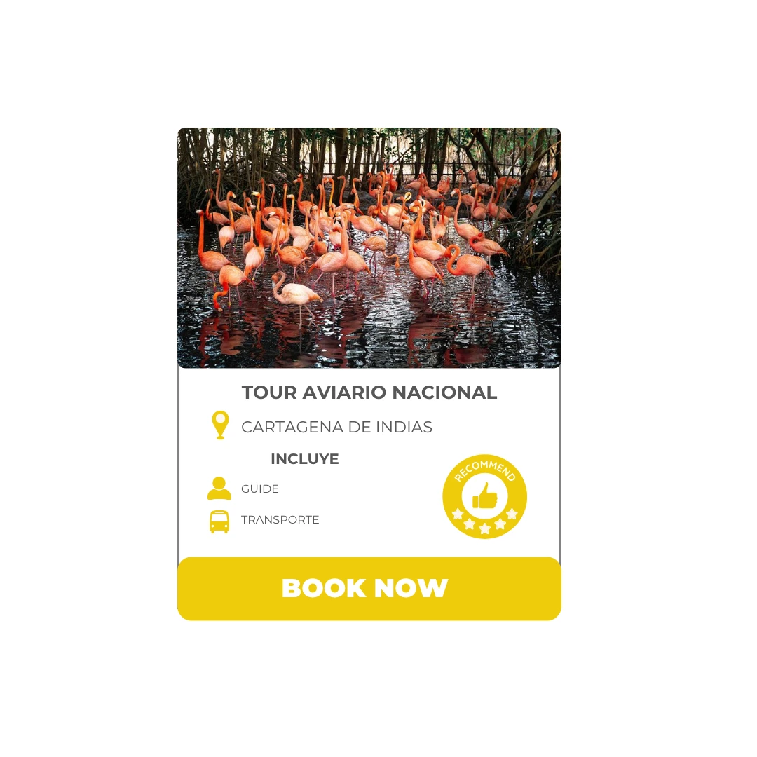 Tour 6